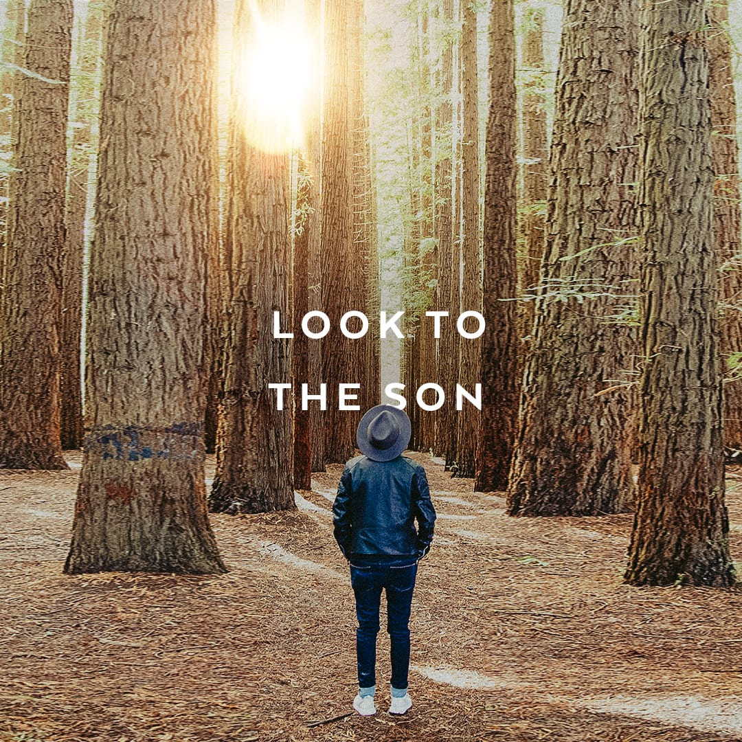 Look to the Son