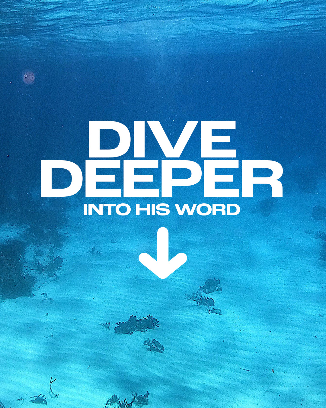 Dive deeper into His Word