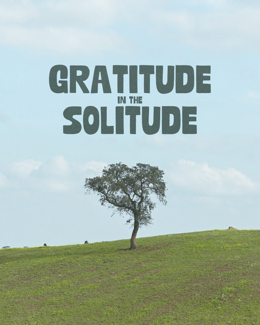 Gratitude in the Solitude