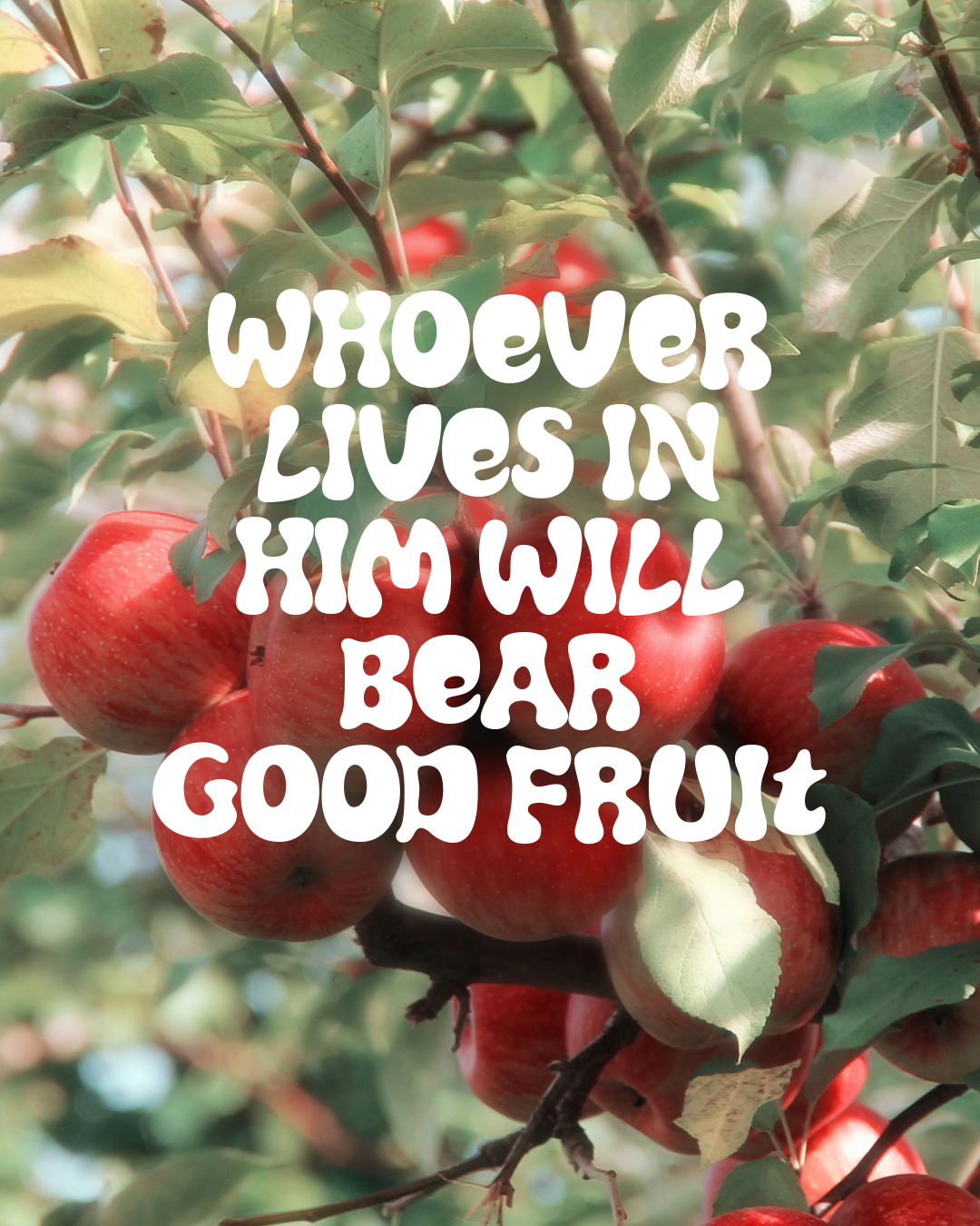 Whoever lives in Him will bear good fruit