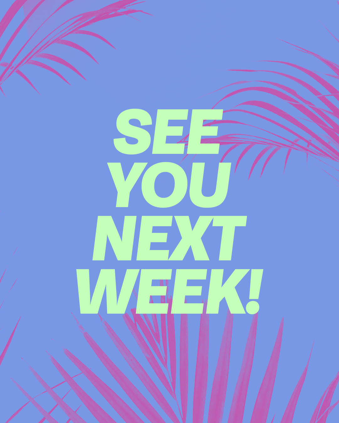 See you next week!