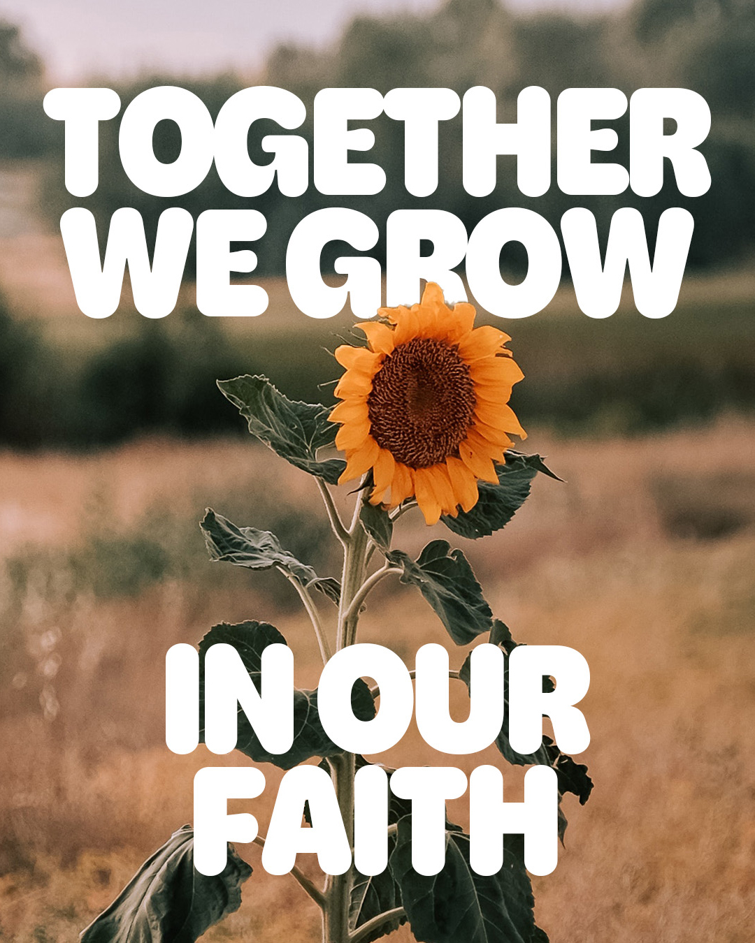Together we grow in our faith