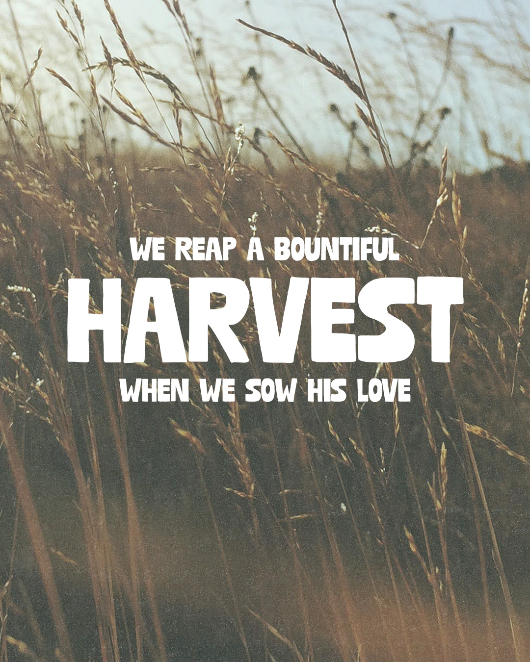 We reap a bountiful harvest when we sow his love